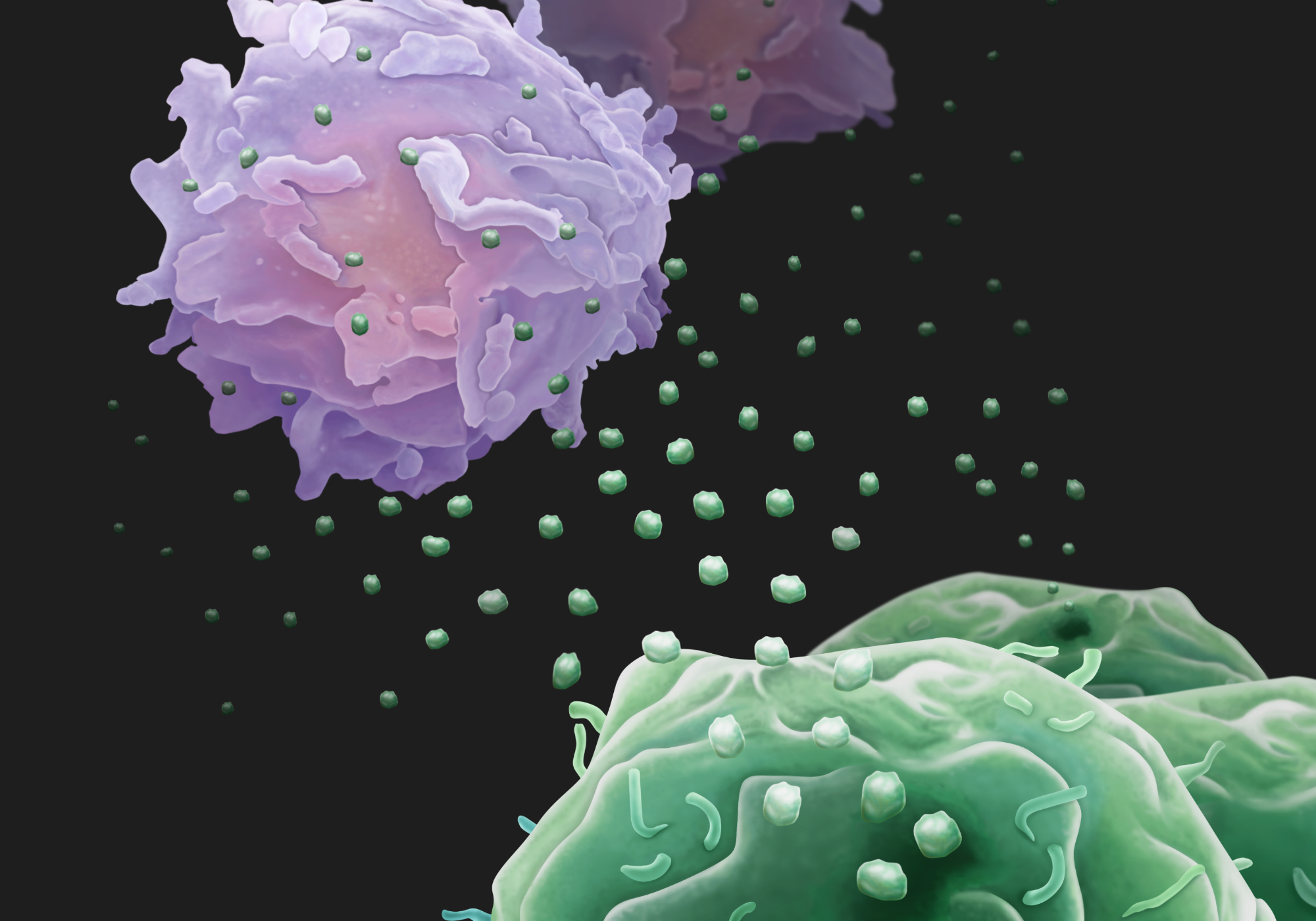 Cancer cells send out ‘drones’ to battle the immune system from afar